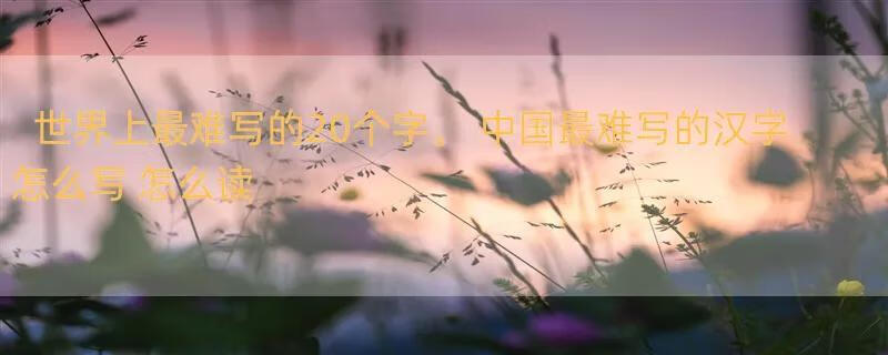 世界上最难写的20个字。 中国最难写的汉字怎么写 怎么读