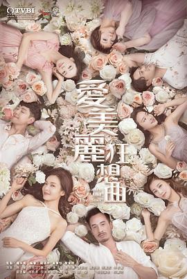 爱美丽狂想曲[国语]