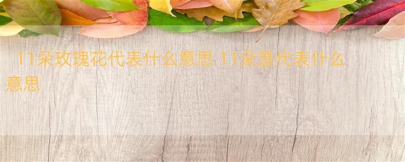 11朵玫瑰花代表什么意思 11朵是代表什么意思