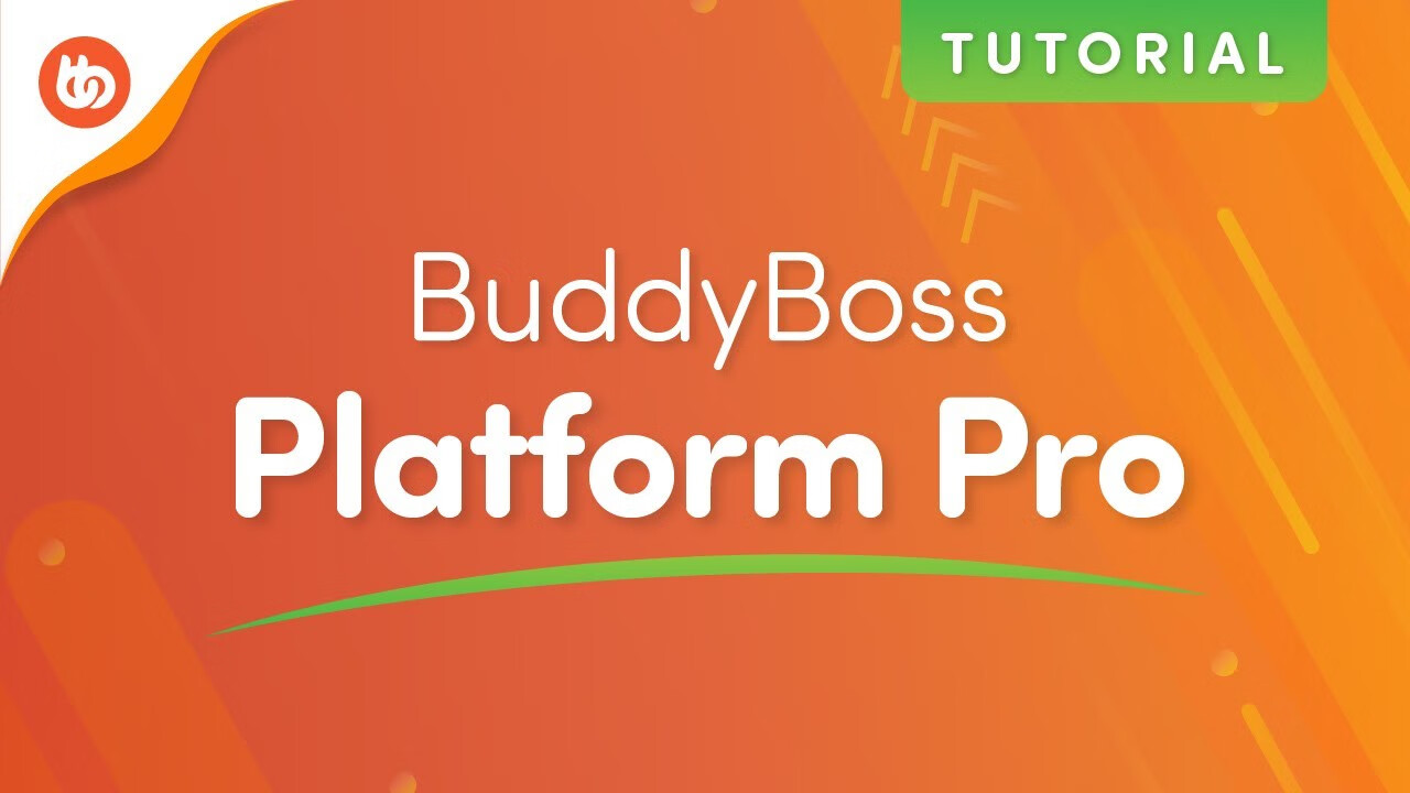 BuddyBoss Platform Pro v2.2.1 破解中文汉化下载更新 - 第1张