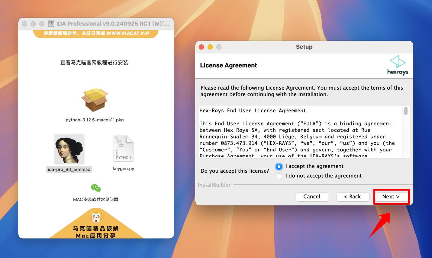 IDA Professional for mac v9.0.240925 RC1英文版 反汇编逆向神器