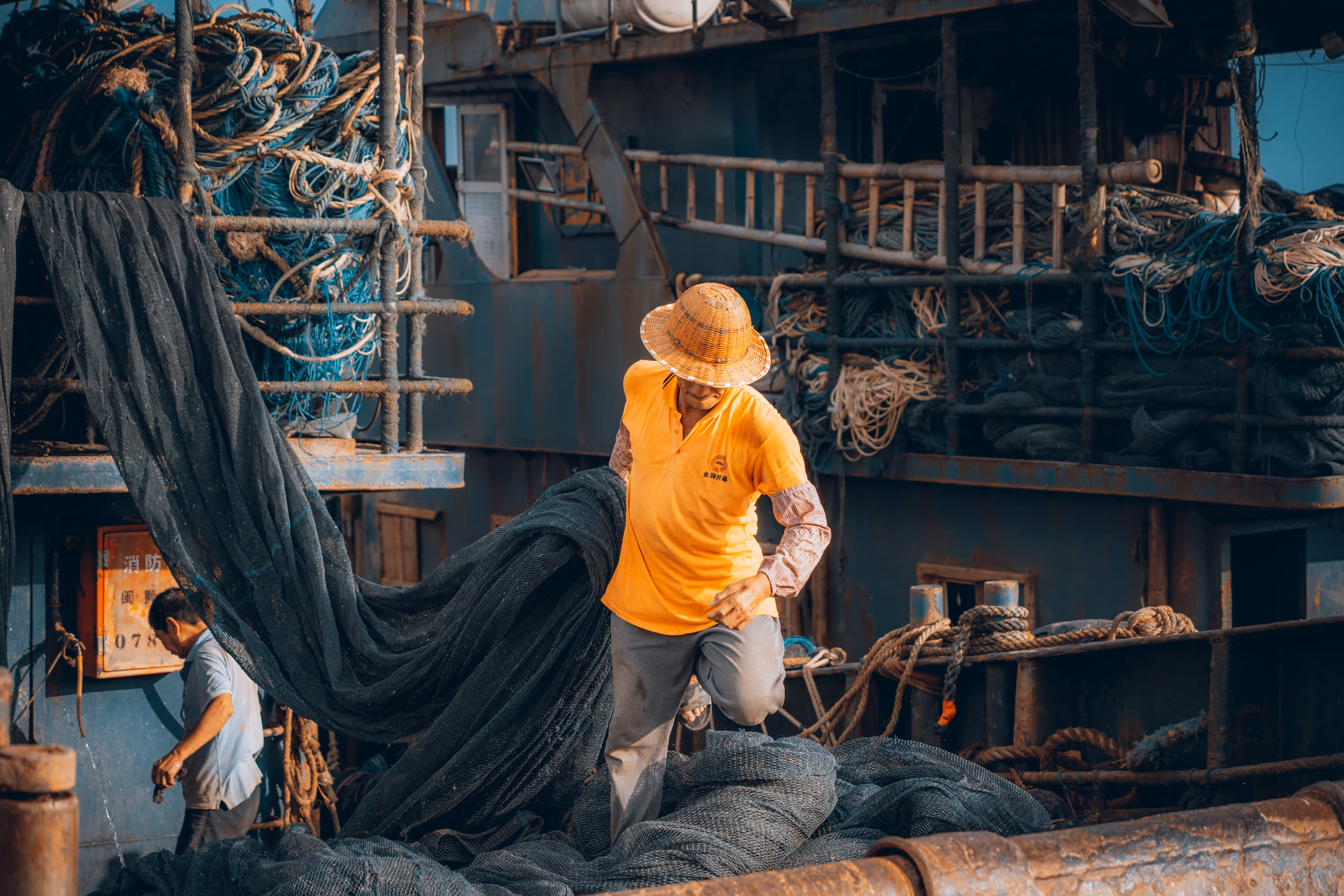 点击可放大观看