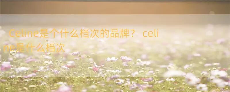 Celine是个什么档次的品牌？ celine是什么档次