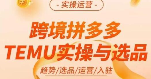 伍跃·跨境拼多多TEMU实操与选品，​趋势/选品/运营/入住（27节完整）-666资源网