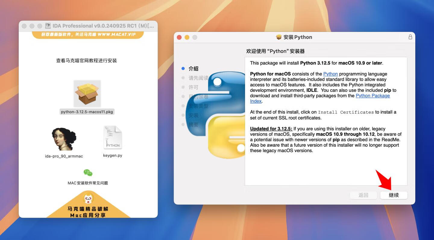 IDA Professional for mac v9.0.240925 RC1英文版 反汇编逆向神器