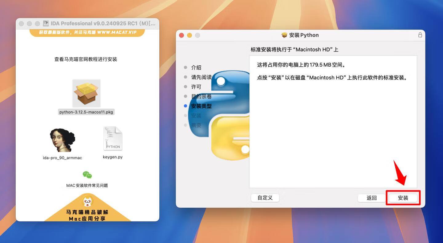 IDA Professional for mac v9.0.240925 RC1英文版 反汇编逆向神器