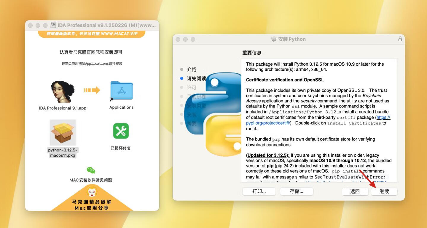 IDA Professional for mac v9.1.250226 英文版 反汇编逆向神器