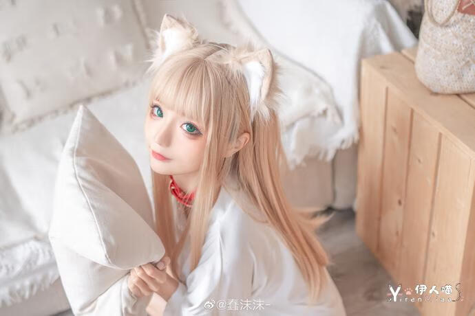 蠢沫沫黄豆粉猫 (5).jpg