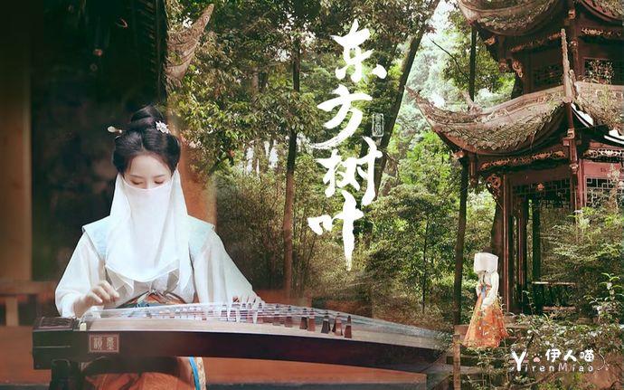 墨韵随步摇 古筝音乐东方树叶.jpg