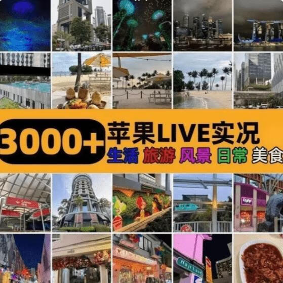 自费购买素材!高清实况素材3000+-五块四源码网