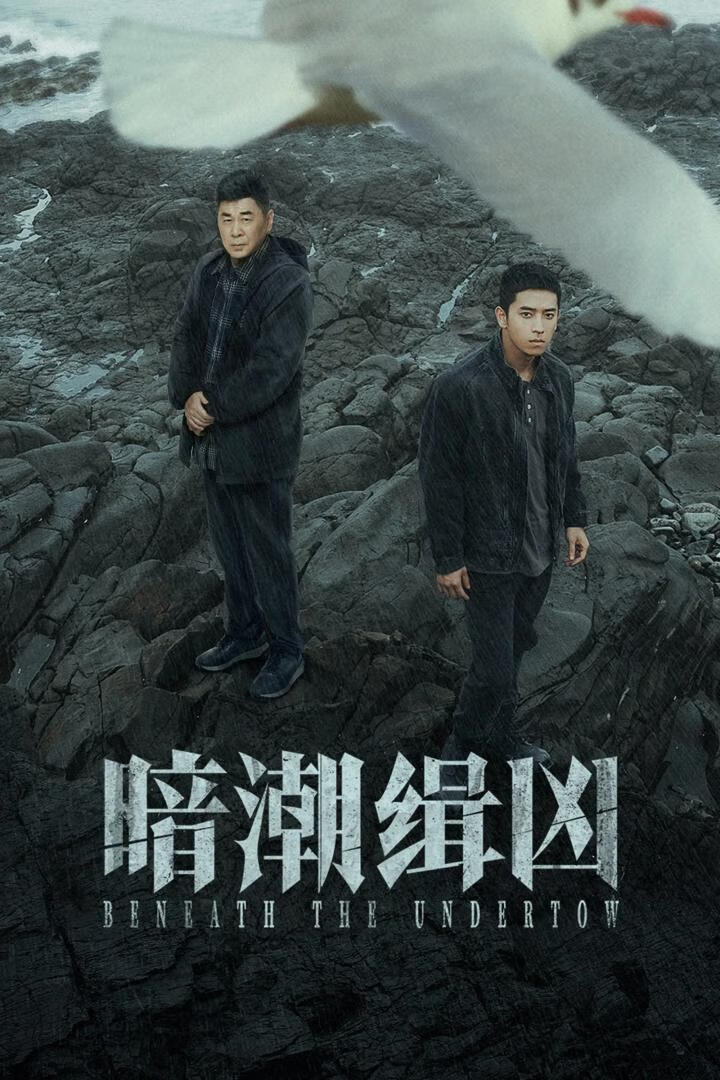 暗潮缉凶(2025)全19集