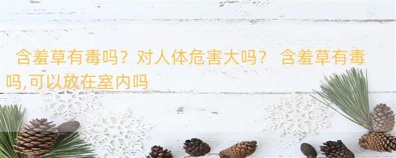 含羞草有毒吗？对人体危害大吗？ 含羞草有毒吗,可以放在室内吗