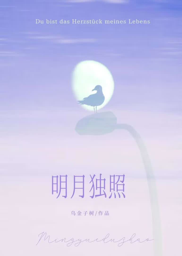 明月独照