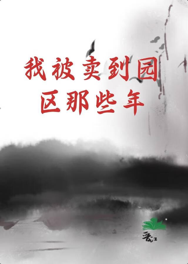 我被卖到园区那些年