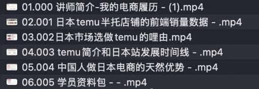 跨境电商日本Temu半托管店铺运营实战，新手快速入局，抢占蓝海市场