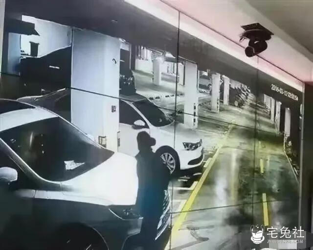 寻求刺激！燕山大学地下车库29分钟视频流出 女主身材不输花店老板娘