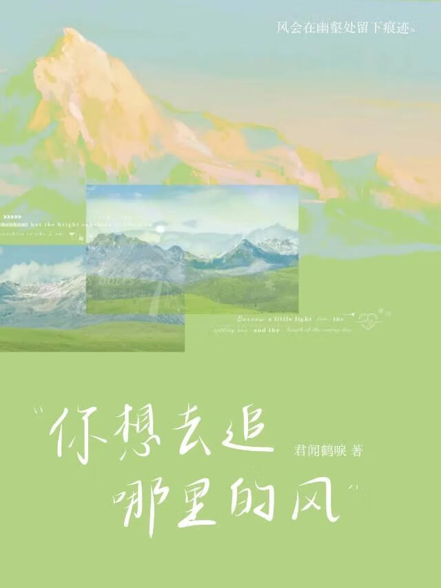 你想去追哪里的风