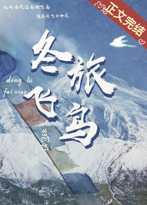 冬旅飞鸟
