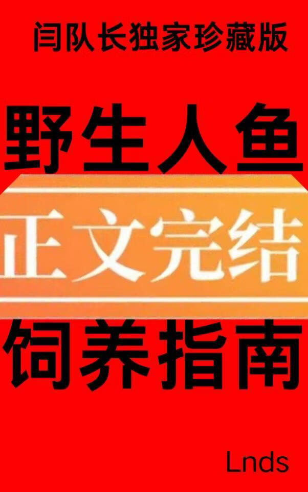 饕餮貔貅打工日记