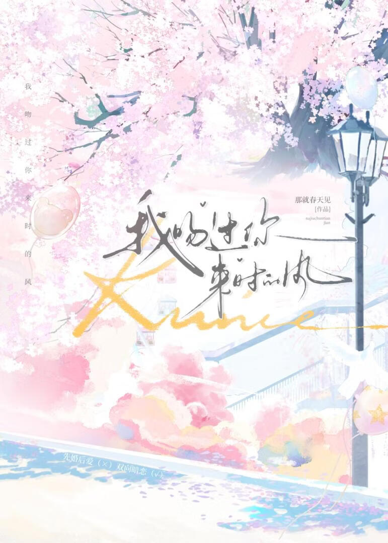 我吻过你来时的风