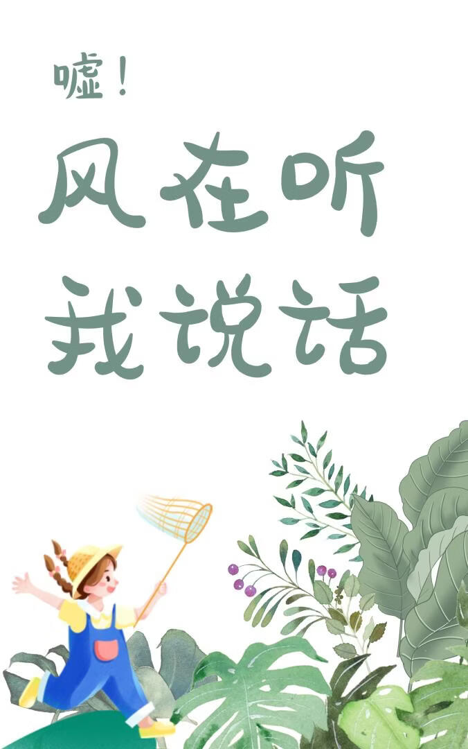 �꣡��������˵��