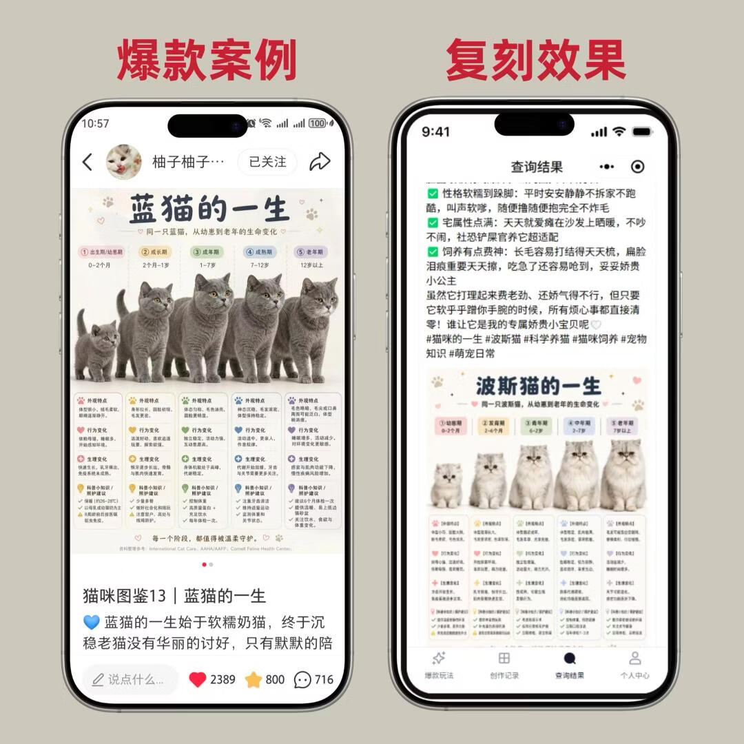 图片[8]-小红书爆图大师！1分钟复刻小红书+贴图号热门笔记，自媒体人必备神器 - 87副业网-87副业网