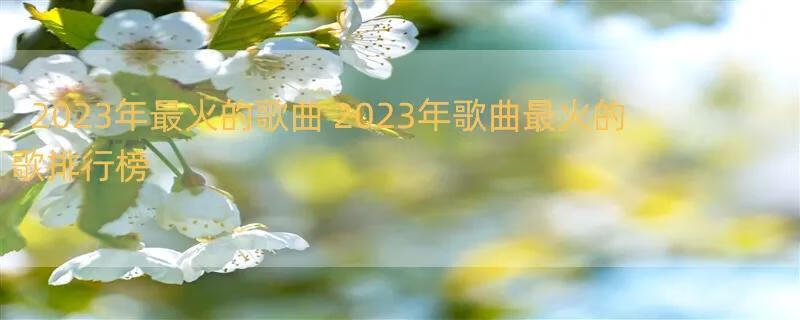 2023年最火的歌曲 2023年歌曲最火的歌排行榜