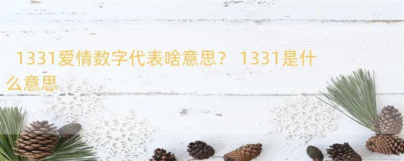 1331爱情数字代表啥意思？ 1331是什么意思