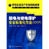 

输电与继电保护安全标准化作业（SSOP）