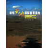 

崇明东滩国际重要湿地