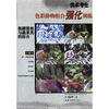 

瓶罐器皿与蔬菜类的组合色彩静物组合强化训练