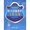 

电力设施保护工作实务