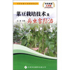 

菜豆栽培技术及病虫害防治