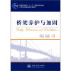 

桥梁养护与加固/普通高等教育“十一五”国家级规划教材·21世纪交通版高等学校教材