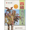 

香椿栽培新技术