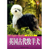 

英国古代牧羊犬：喜剧明星