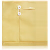 

Elite (deli) 5910 A4PP folding file pocket yellow 12 loaded