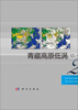 

青藏高原低涡切变线年鉴2012