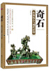

奇石：传统玩石与现代应用