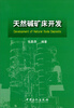 

天然碱矿床开发