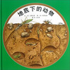 

地底下的动物