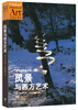 

风景与西方艺术