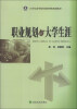 

职业规划与大学生涯/21世纪高等院校创新课程规划教材