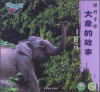

绿野寻踪大象的故事