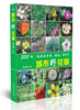 

城市野花草