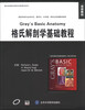 

国外经典医学教材改编·影印系列：格氏解剖学基础教程（双语教材）（英文）