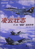 

经典战史回眸·兵器系列·凌云壮志：F－14“雄猫”战机传奇