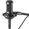 

Audio-technica AT2035 K song live recording condenser microphone microphone classic black