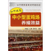 

如何提高畜禽场养殖效益：如何提高中小型蛋鸡场养殖效益