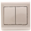 

Simon Electric (simon) N51022B-56 double open double control with key switch 55 series 86 type switch socket (champagne